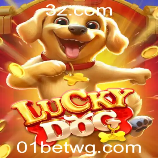 01 bet login Casino App